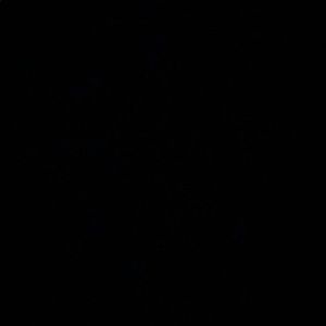 Meet your Posher, Danica